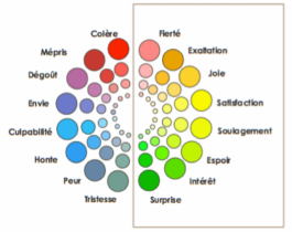 Etre un bon manager c'est aussi utiliser ses emotions - Autrement Formations